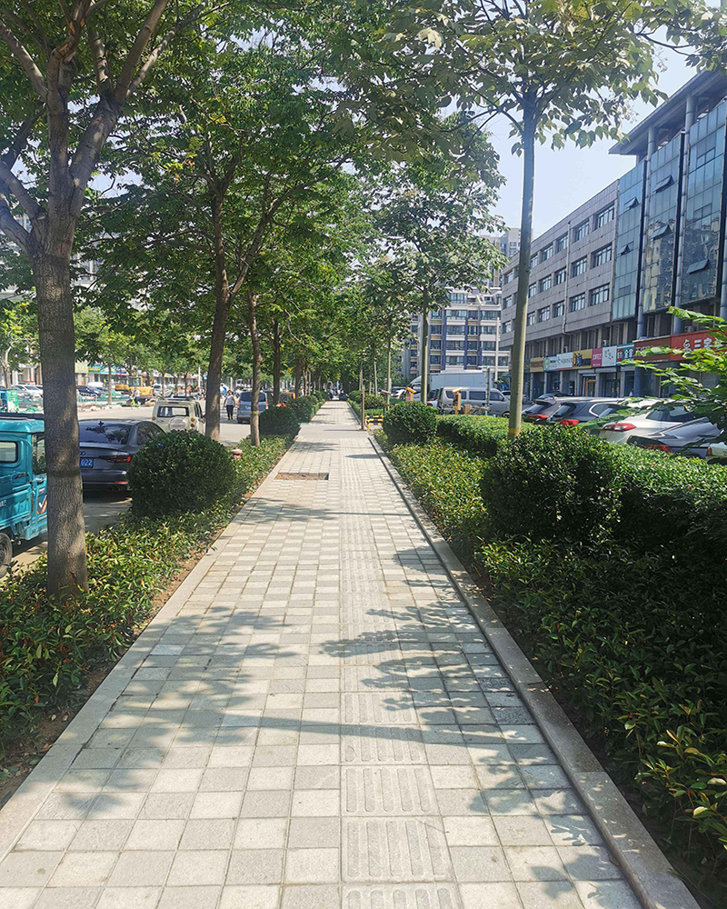 高新区道路绿化工程