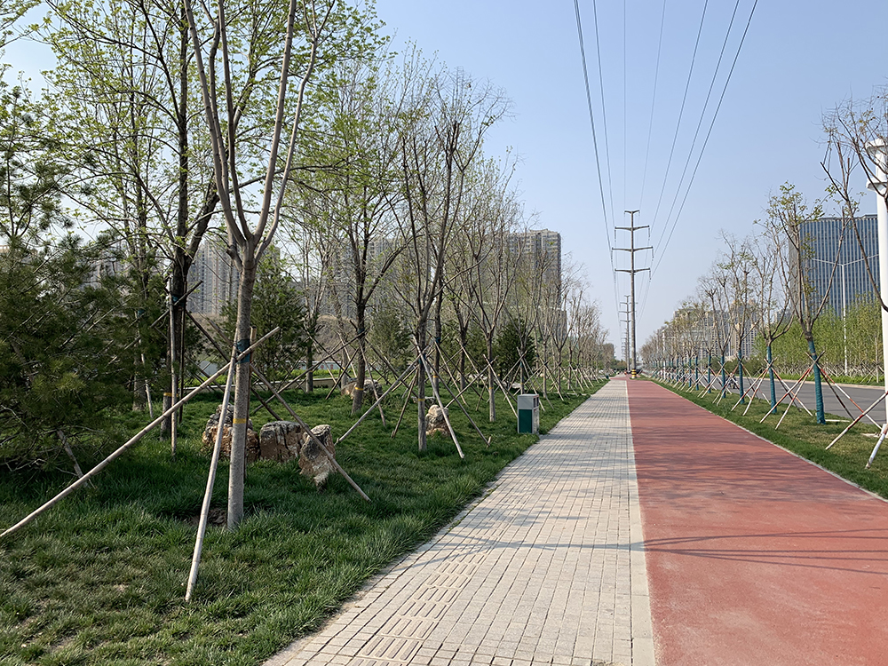 高新区道路景观绿化工程